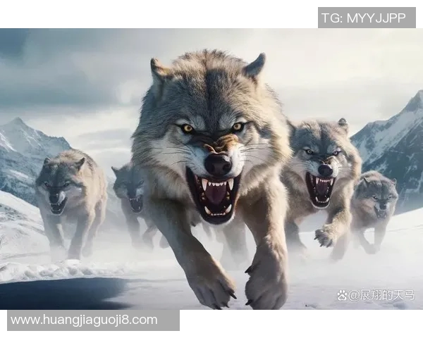 狼群与熊的生存斗争探秘自然界的强者对决与生态平衡